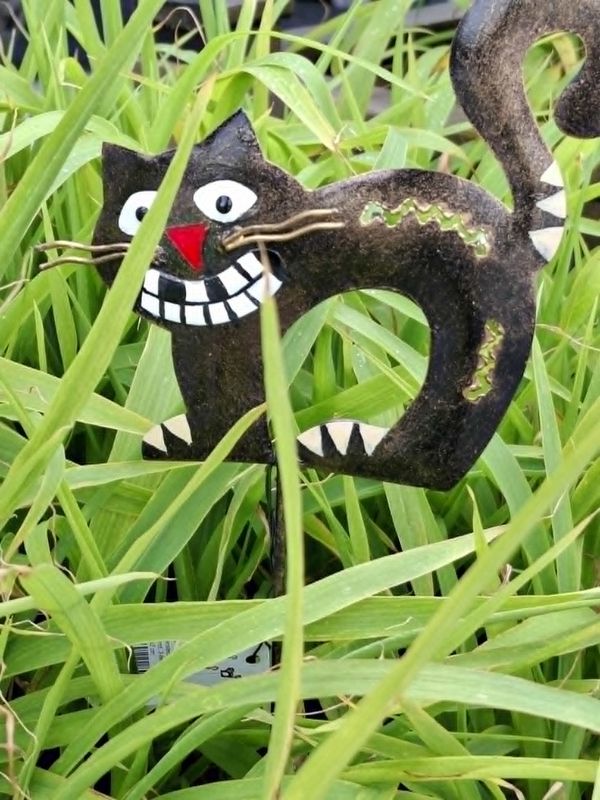  Hagestang, sittende katt 