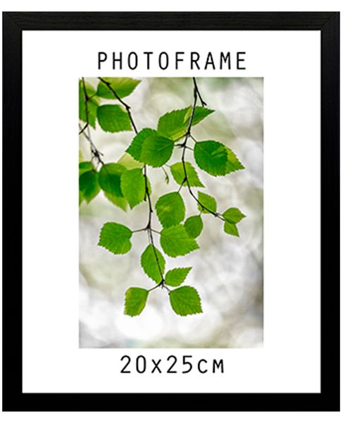 Hovedbilde Eco Ramme