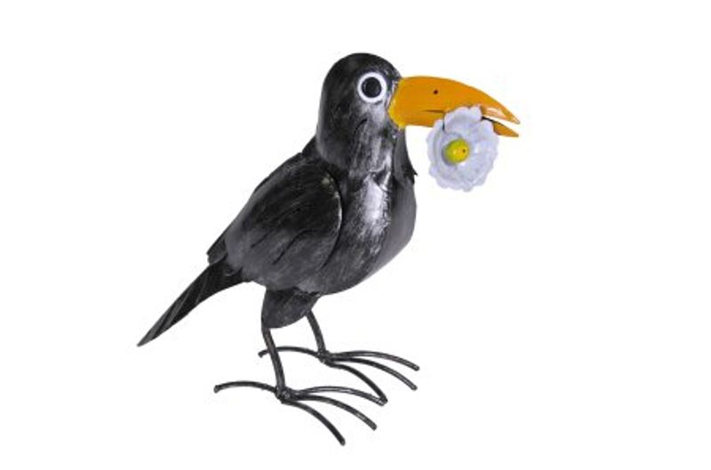 Kråke med bær